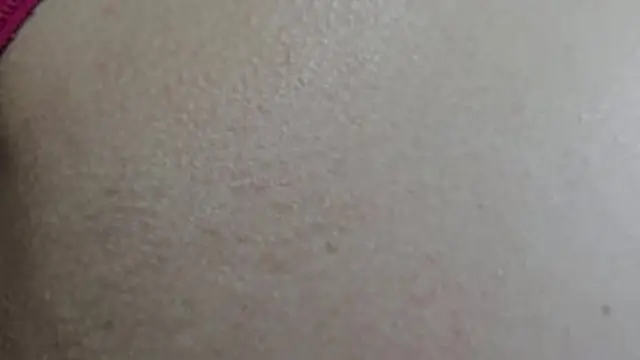 Sultry Latina′s Curvy Cutlet: A Savoring Sensation