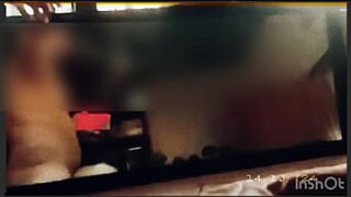 Pup getting pounded by mirror reflection