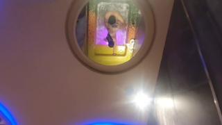 I Love It When My Asian Mistress Gets Whored Out by a Gang of Chubby Latino Cock🍆 Gobblin' Gangsters