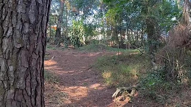 Inside the bush she gets naked &mdash;  really hot &mdash;  big ass and little breasts like a nymphet