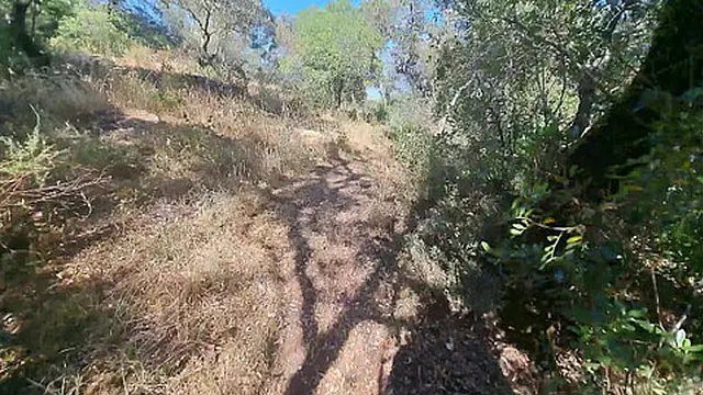 Outdoor Camper Gets Internal Creampie Public Forest