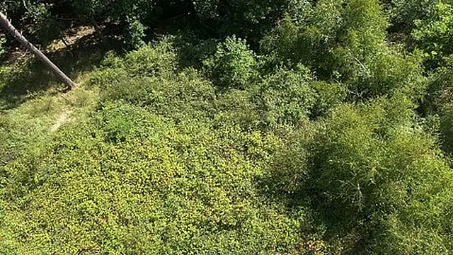 Big Ass Girl takes cock at the viewpoint - so Risky Public Sex :P